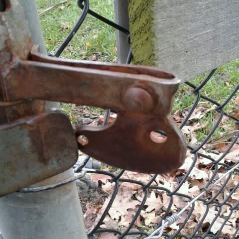 Parks, a report photo