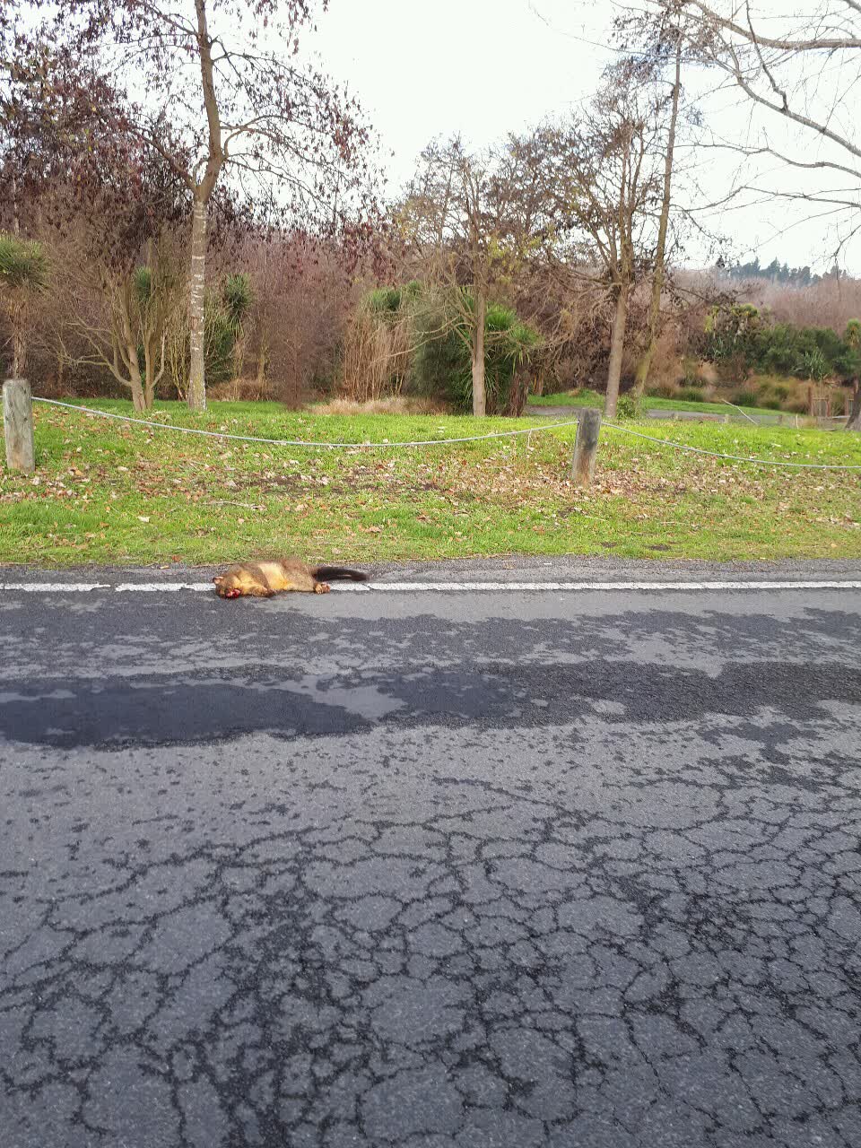 The photograph attached to this roading/streets report