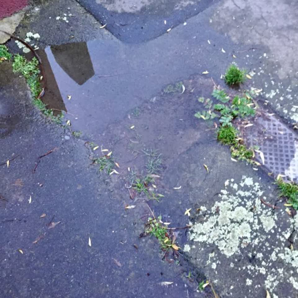 The photograph attached to this water supply report
