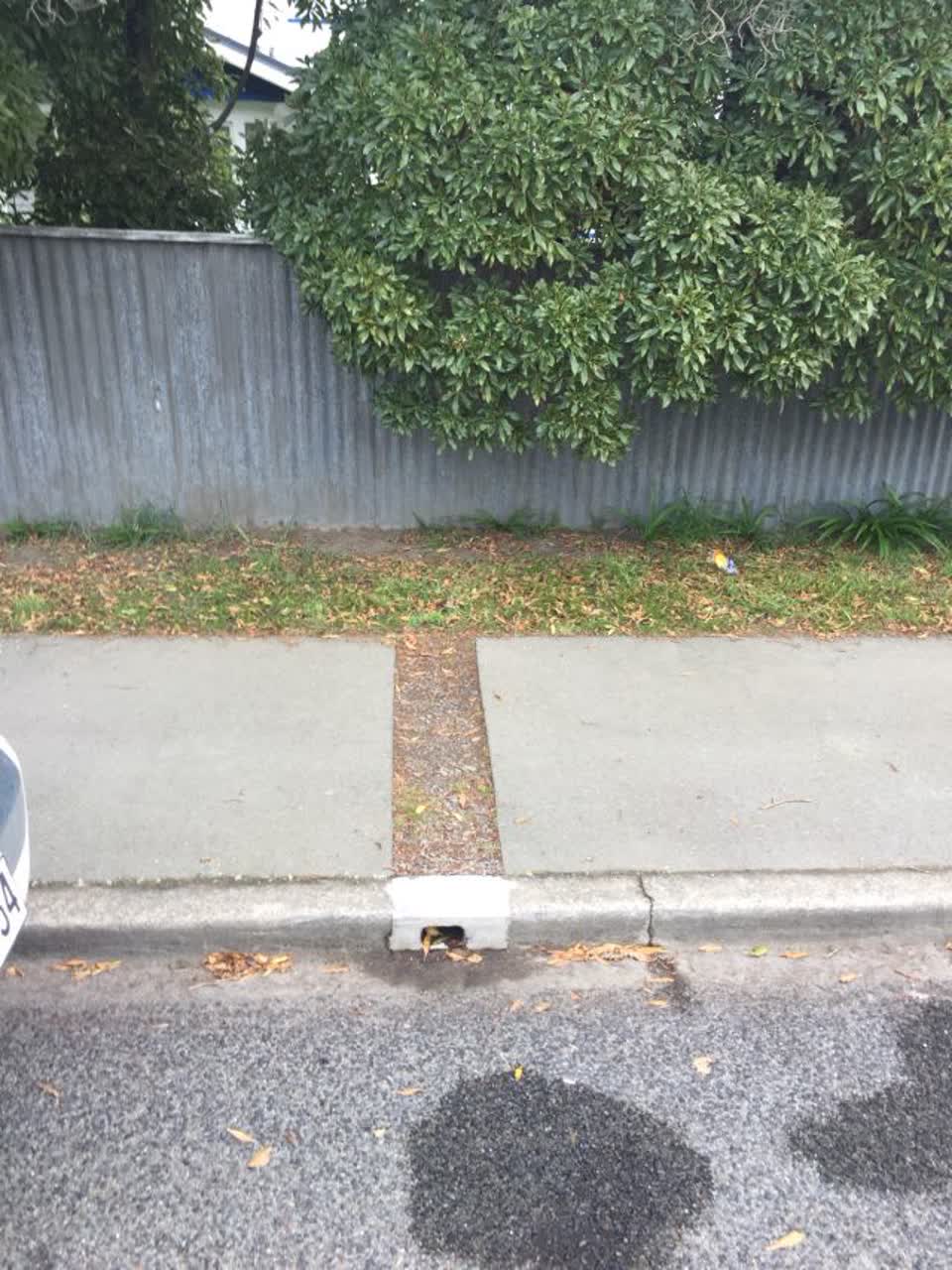 The photograph attached to this roading/streets report