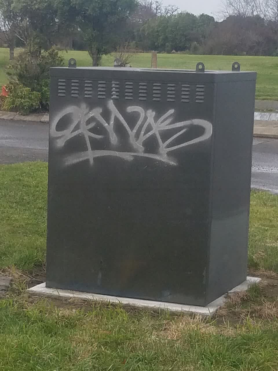 The photograph attached to this graffiti report
