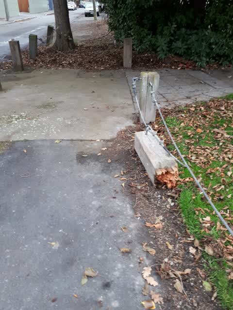 Parks, a report photo