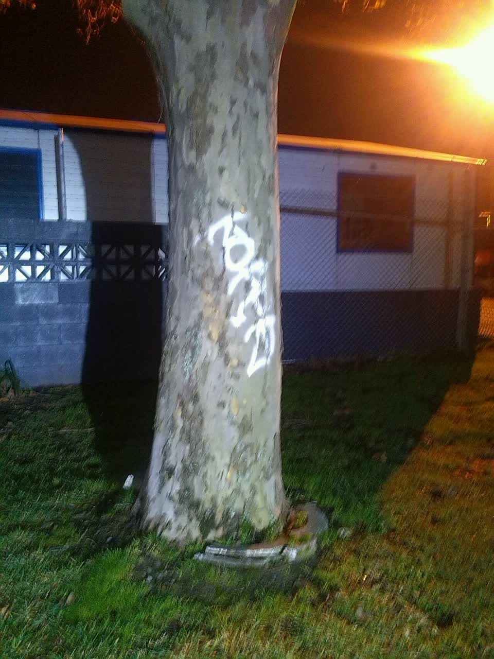 The photograph attached to this graffiti report