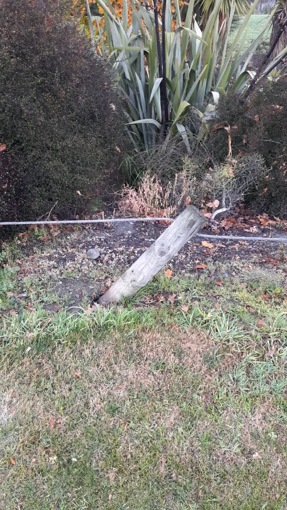The photograph attached to this parks report