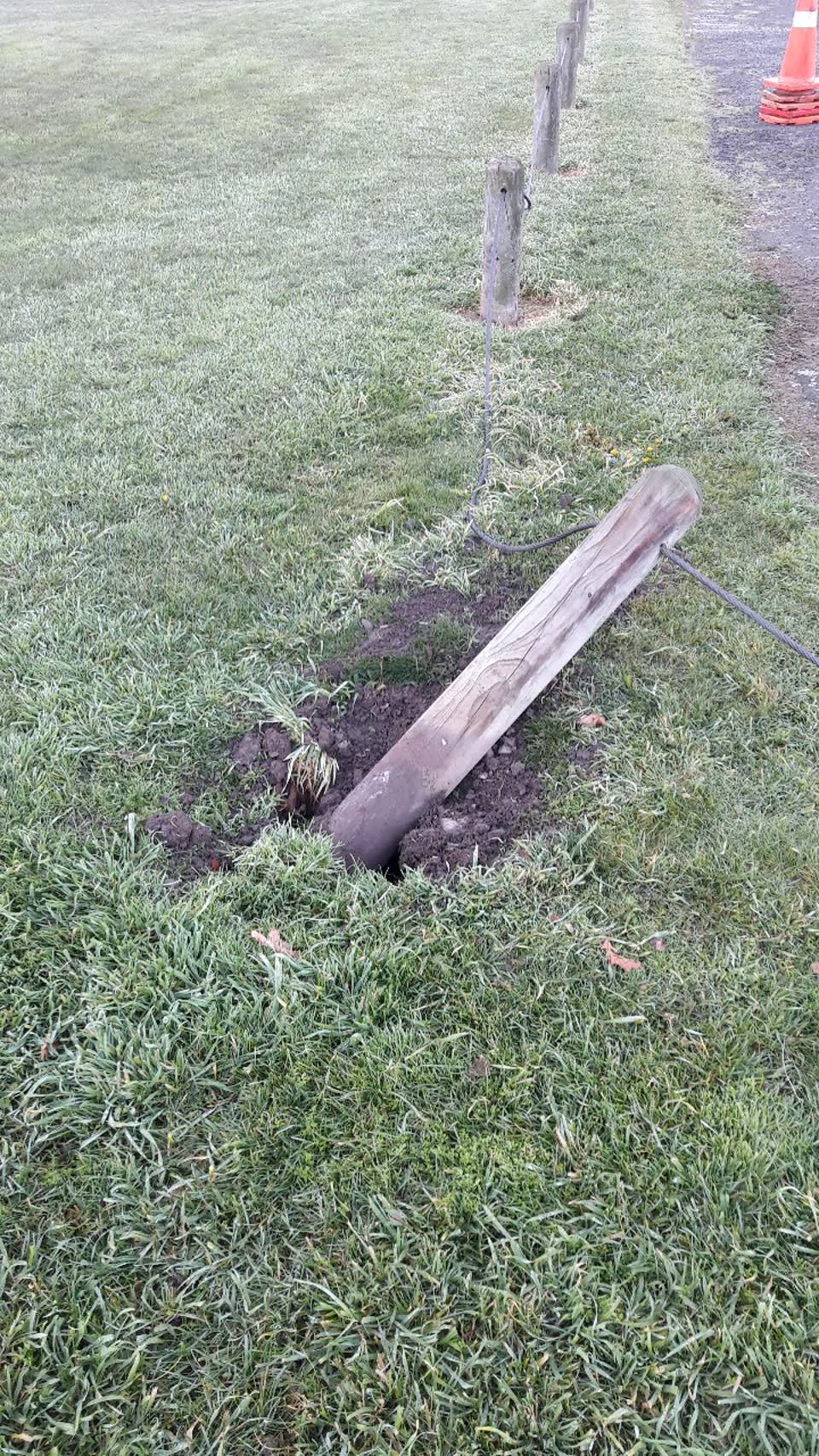 The photograph attached to this parks report