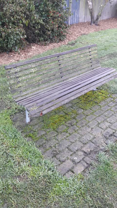 Parks, a report photo