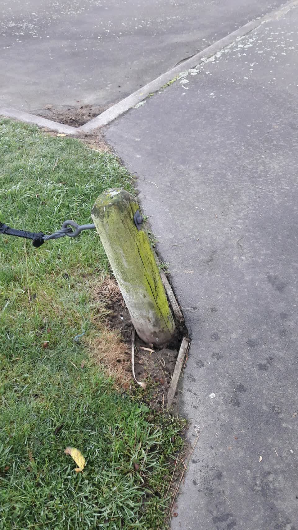 The photograph attached to this parks report
