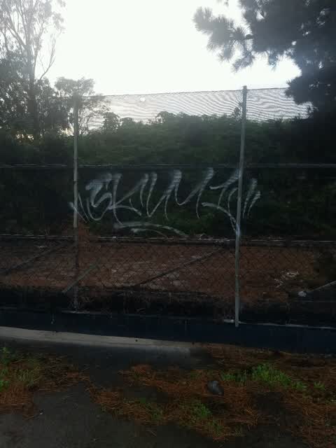 Graffiti, a report photo