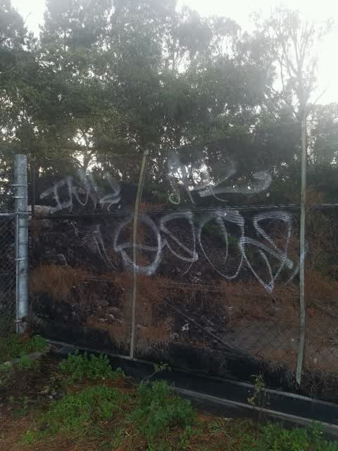 Graffiti, a report photo
