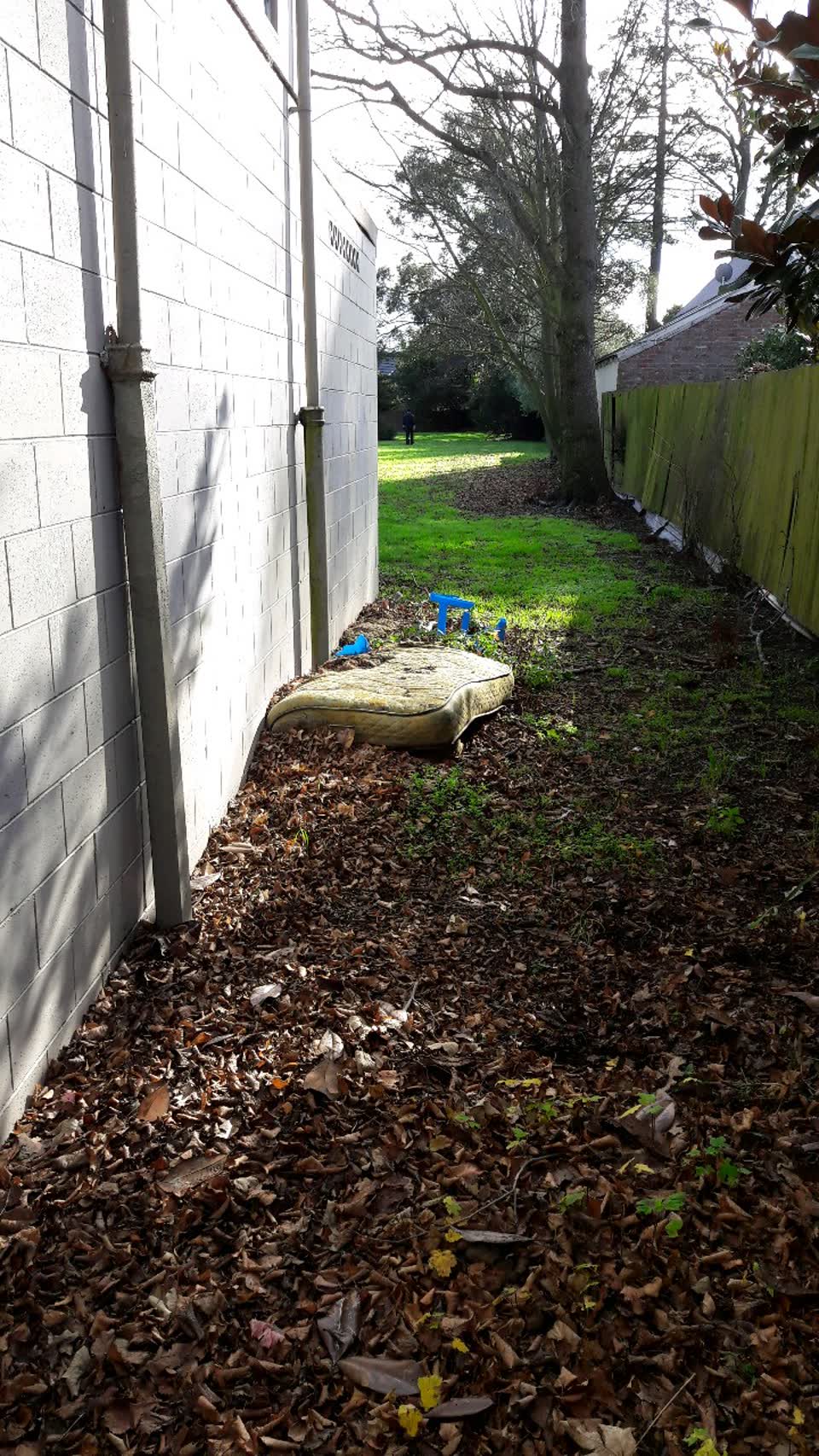 The photograph attached to this parks report