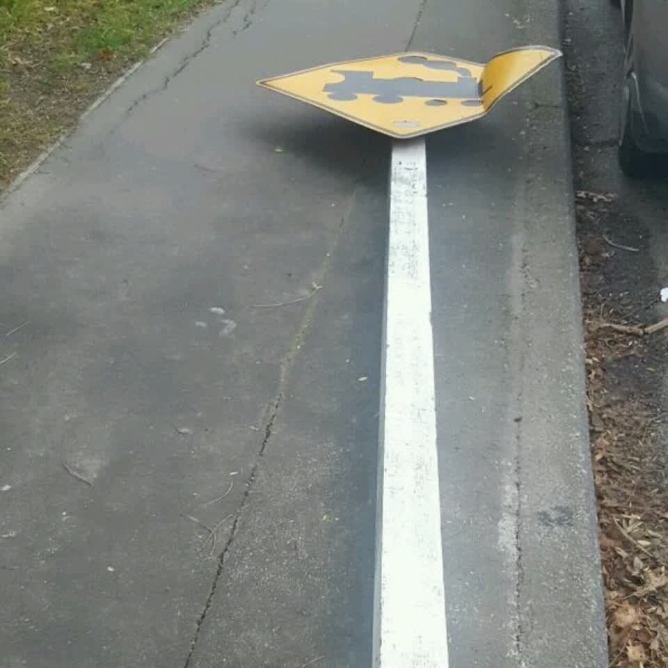 The photograph attached to this roading/streets report