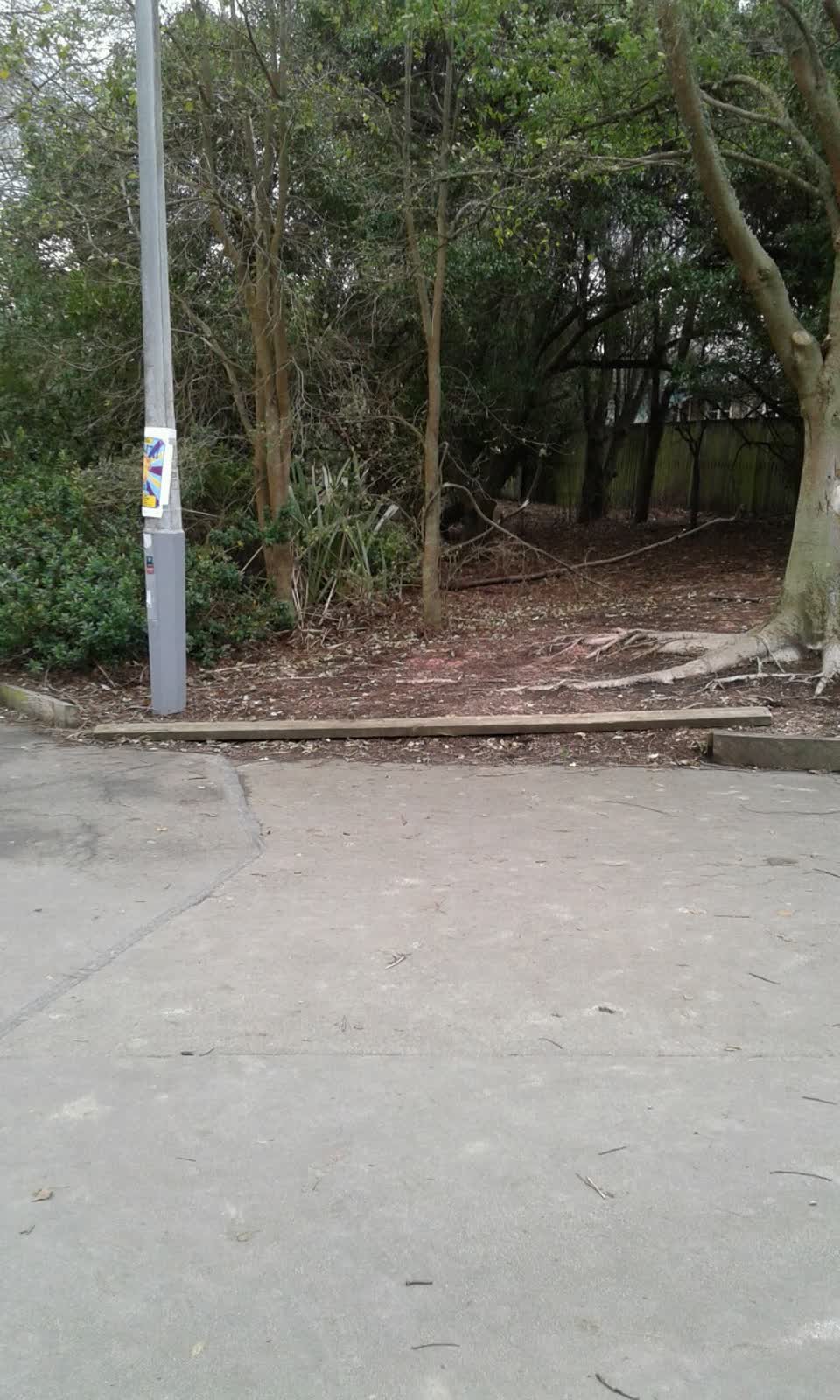 The photograph attached to this parks report