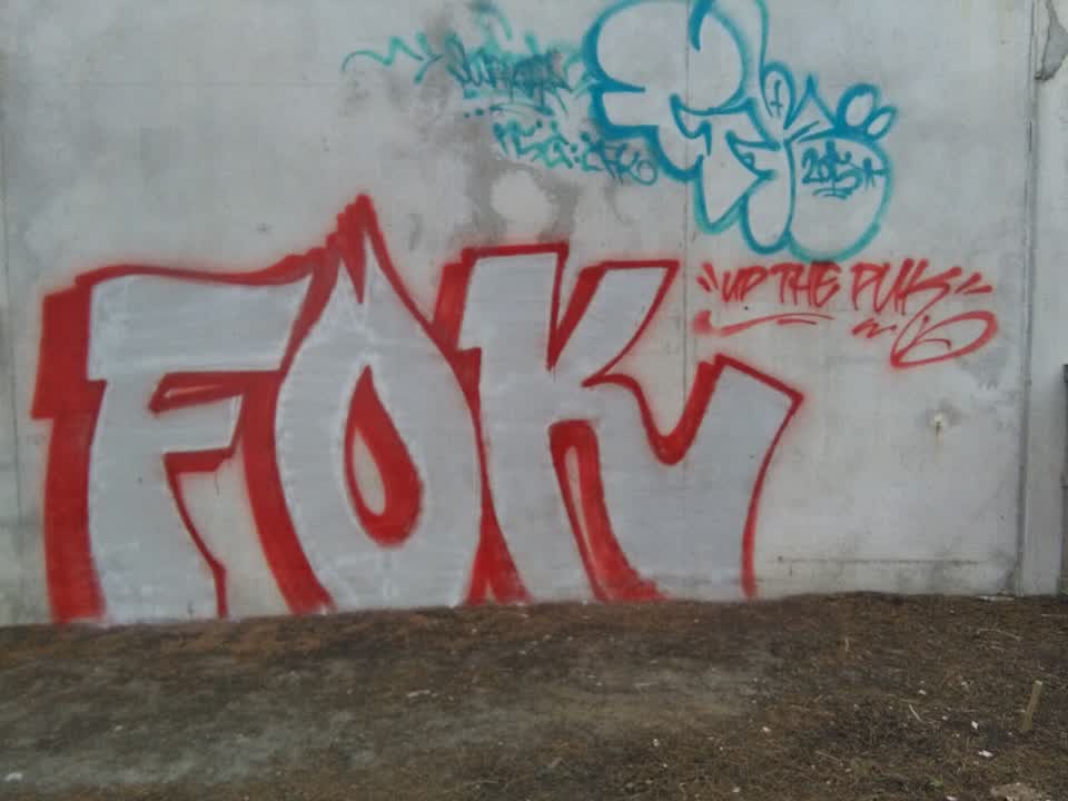 The photograph attached to this graffiti report