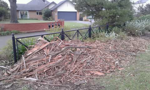 Parks, a report photo