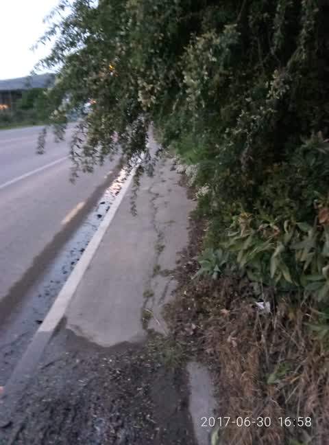 Roading/Streets, a report photo