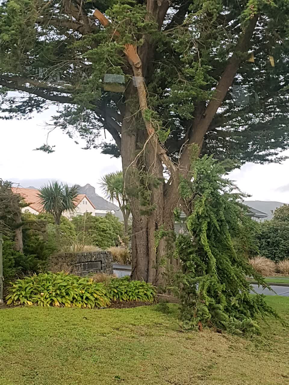The photograph attached to this parks report