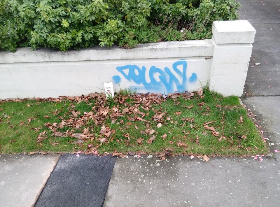 The photograph attached to this graffiti report
