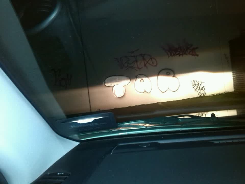 The photograph attached to this graffiti report