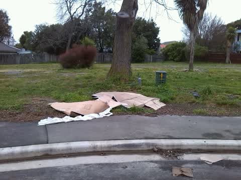 Rubbish/Recycling, a report photo