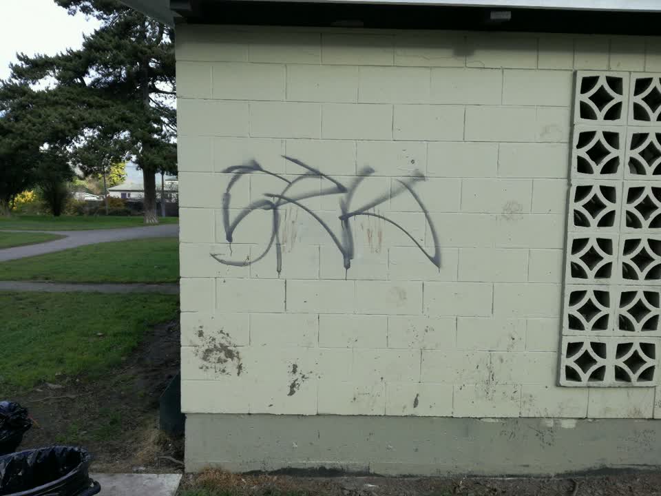 The photograph attached to this graffiti report
