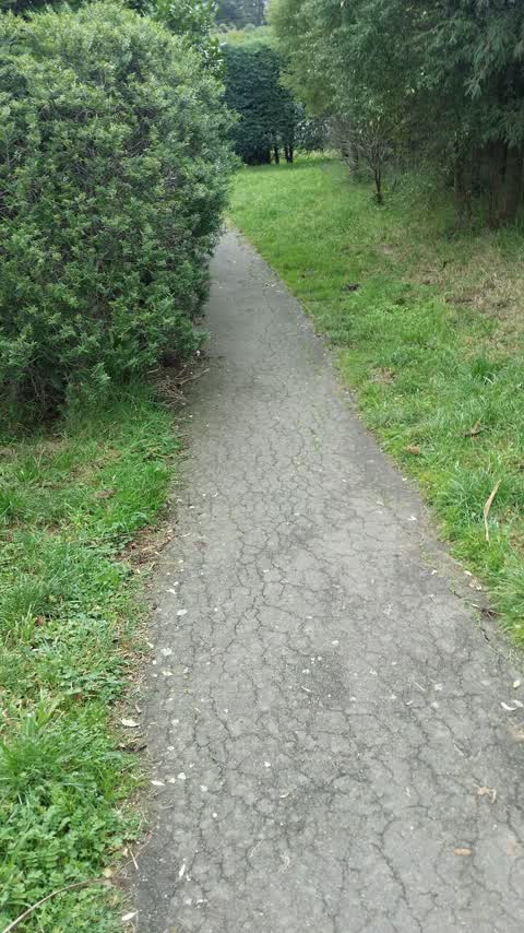 Roading/Streets, a report photo