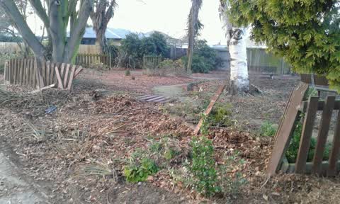 Parks, a report photo