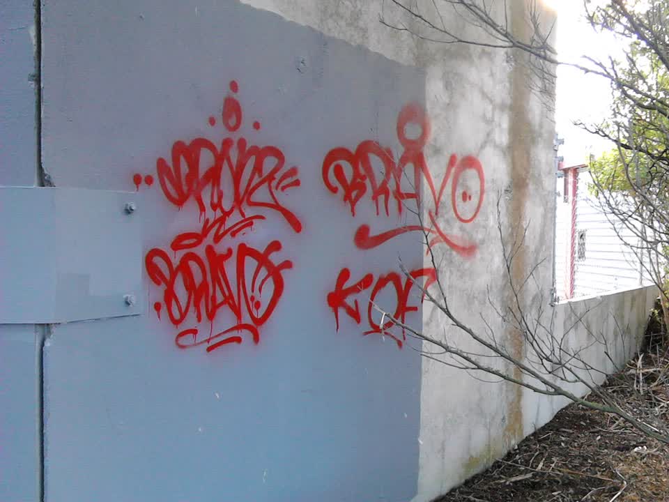 The photograph attached to this graffiti report