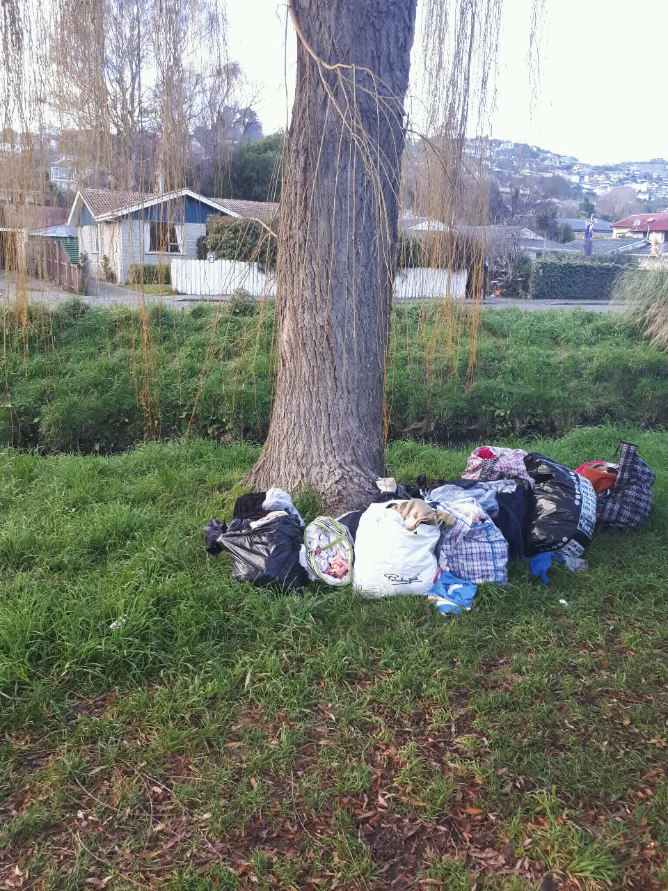 The photograph attached to this rubbish/recycling report