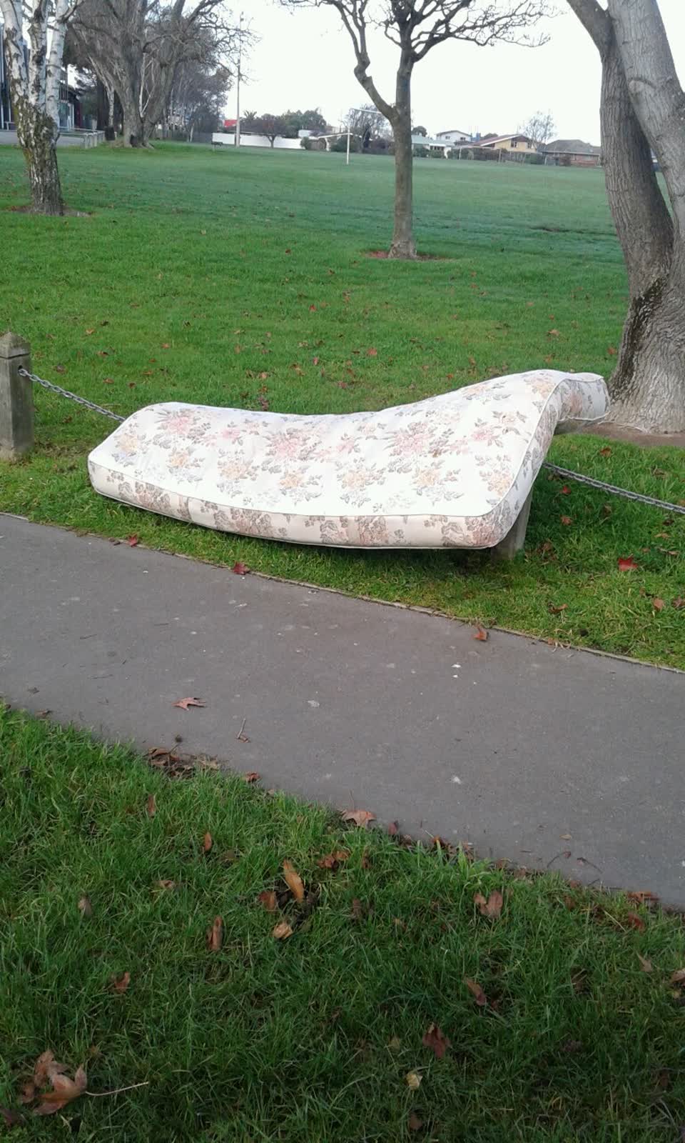 The photograph attached to this parks report