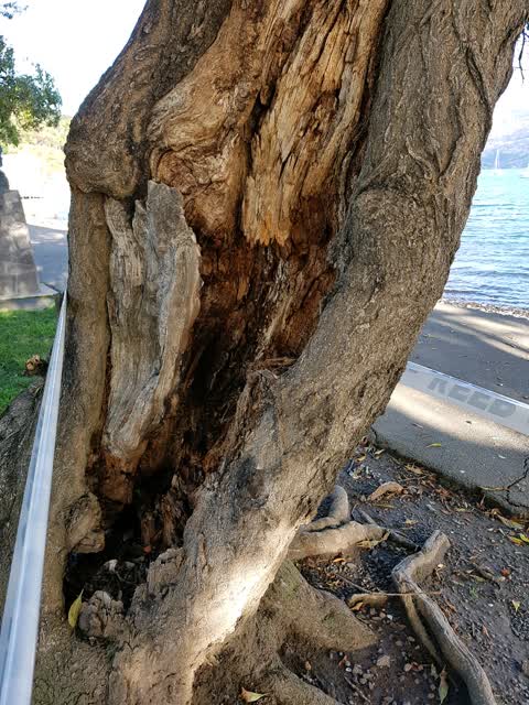 Parks, a report photo