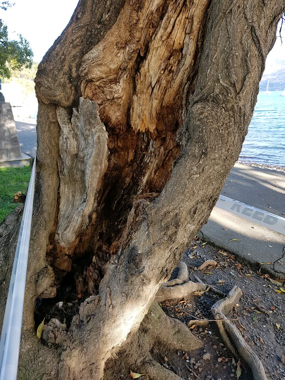The photograph attached to this parks report