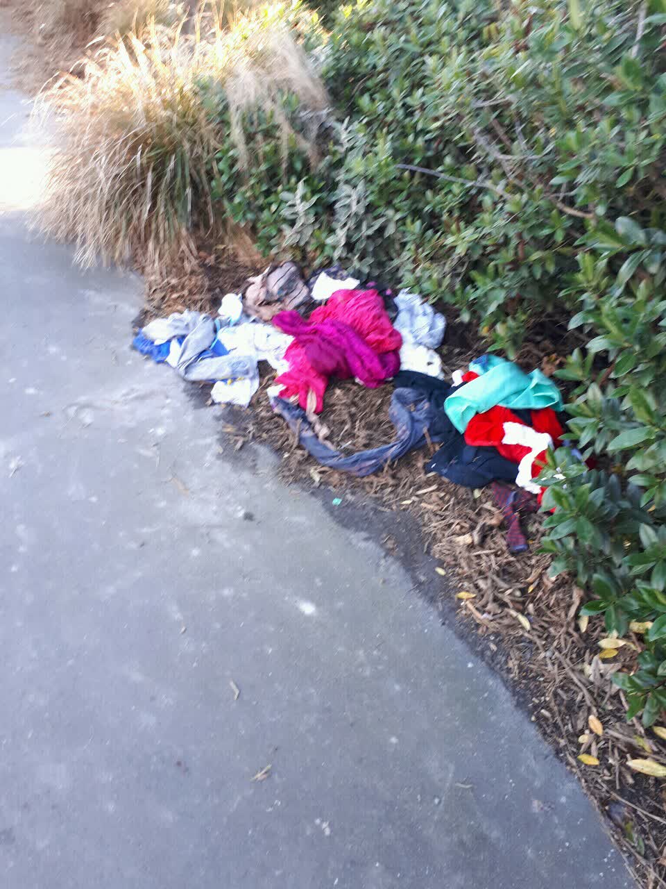 The photograph attached to this rubbish/recycling report