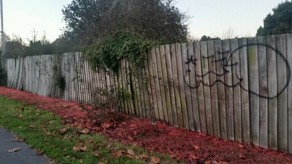 The photograph attached to this graffiti report