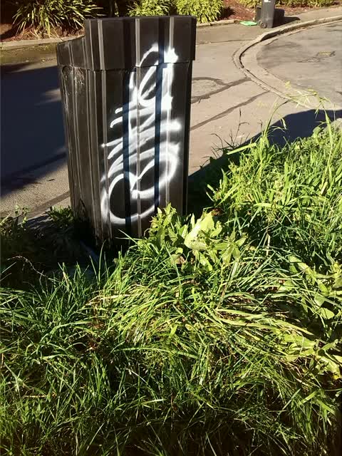 Graffiti, a report photo