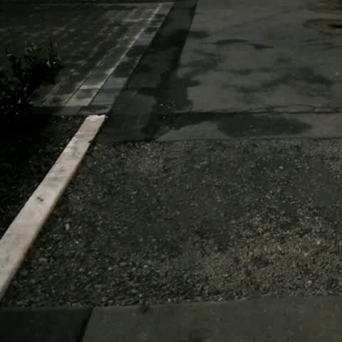 Roading/Streets, a report photo