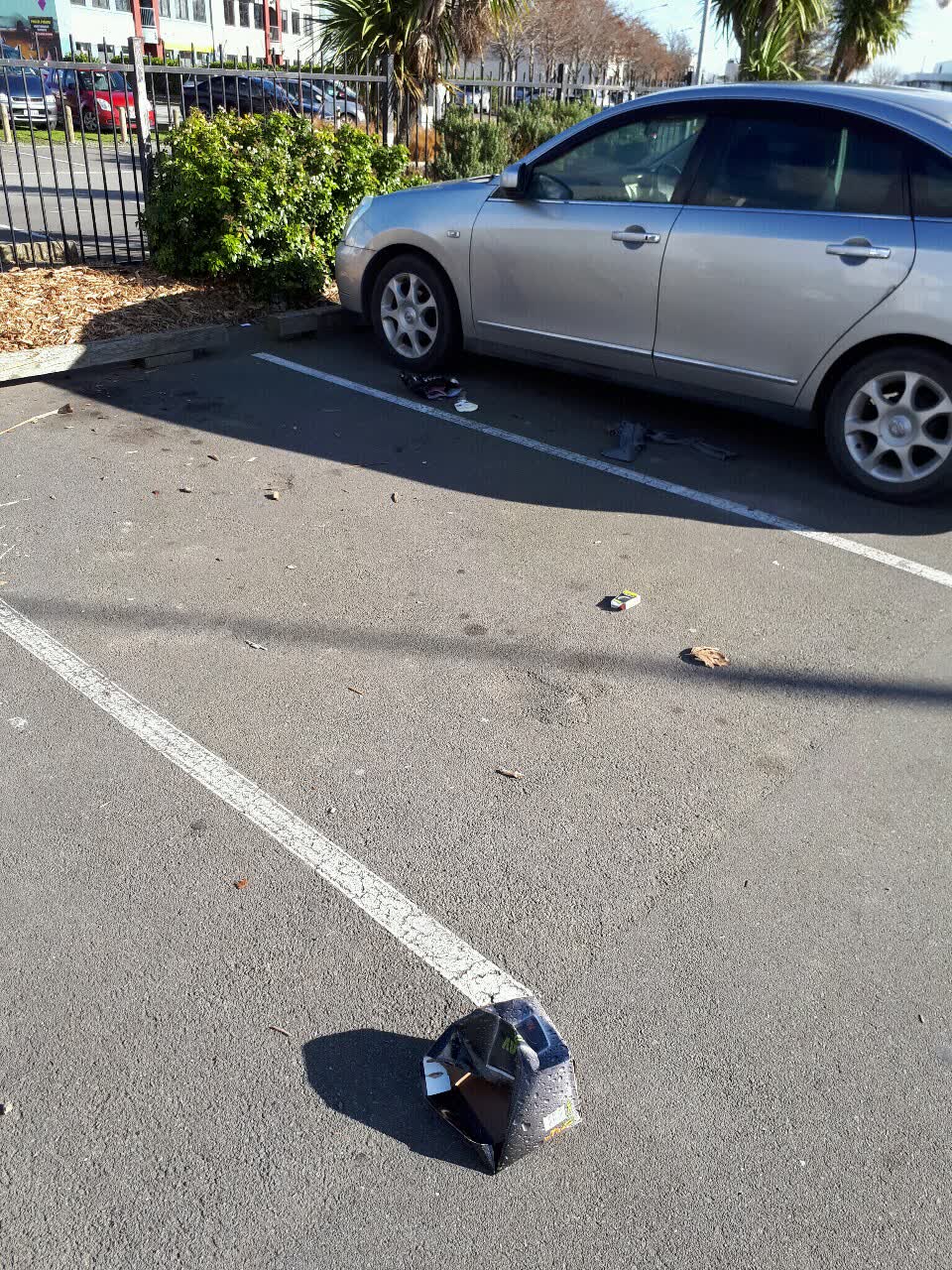 The photograph attached to this parks report