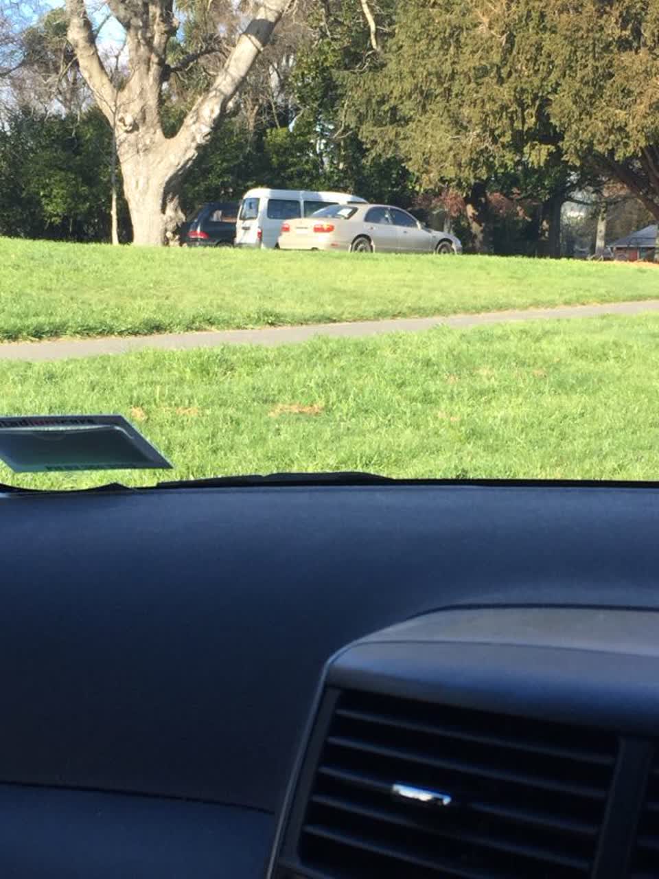 The photograph attached to this parks report