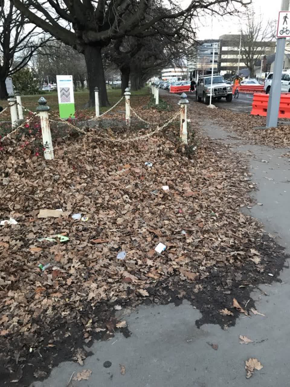 The photograph attached to this rubbish/recycling report