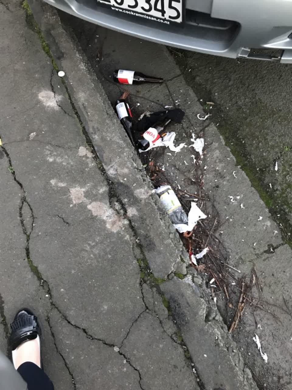 The photograph attached to this rubbish/recycling report