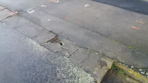 Roading/Streets, a report photo