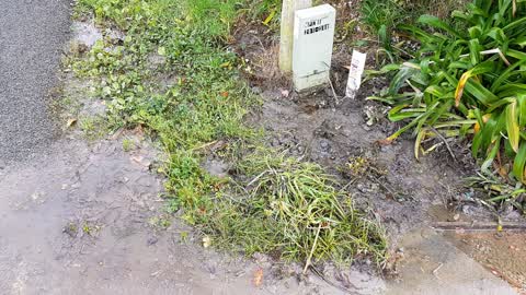 Water Supply, a report photo