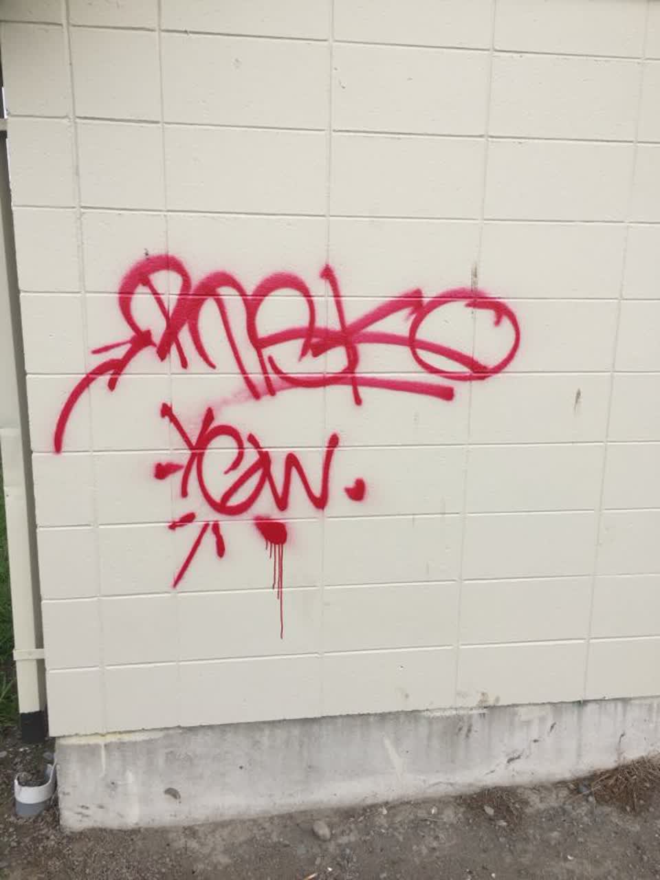 The photograph attached to this graffiti report