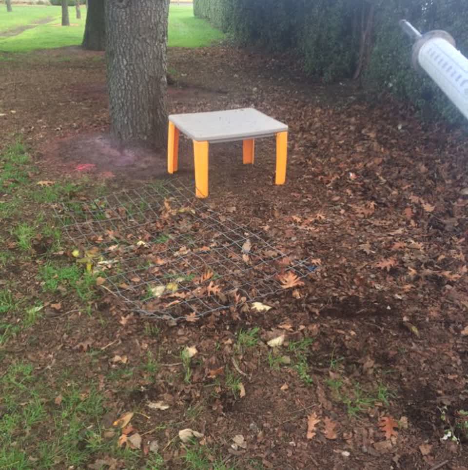 The photograph attached to this parks report