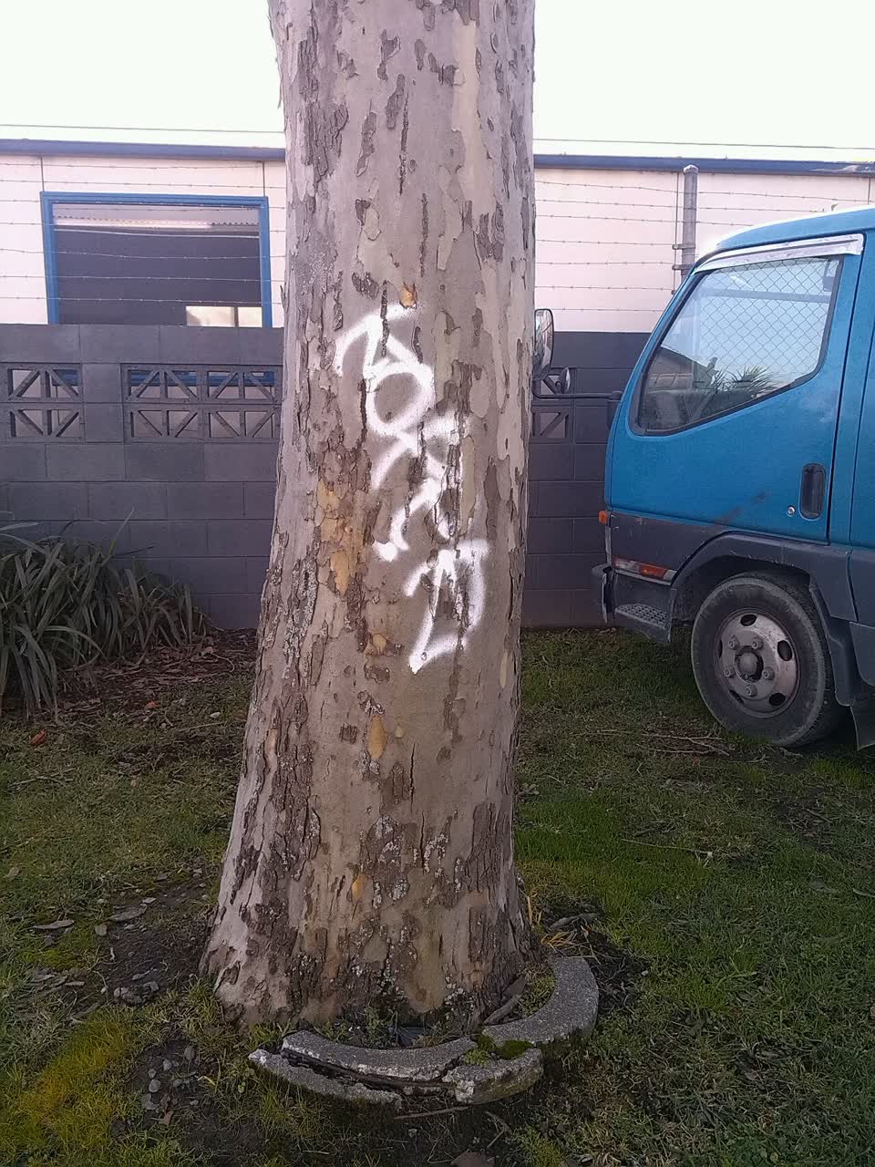 The photograph attached to this graffiti report