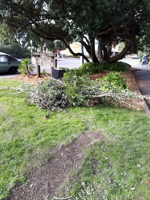 Parks, a report photo