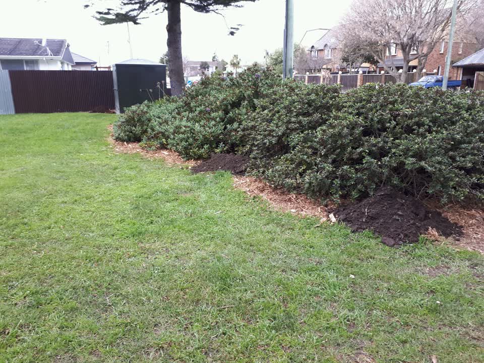 The photograph attached to this parks report