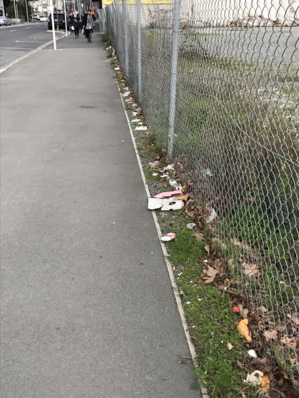The photograph attached to this rubbish/recycling report