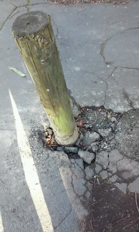 Roading/Streets, a report photo