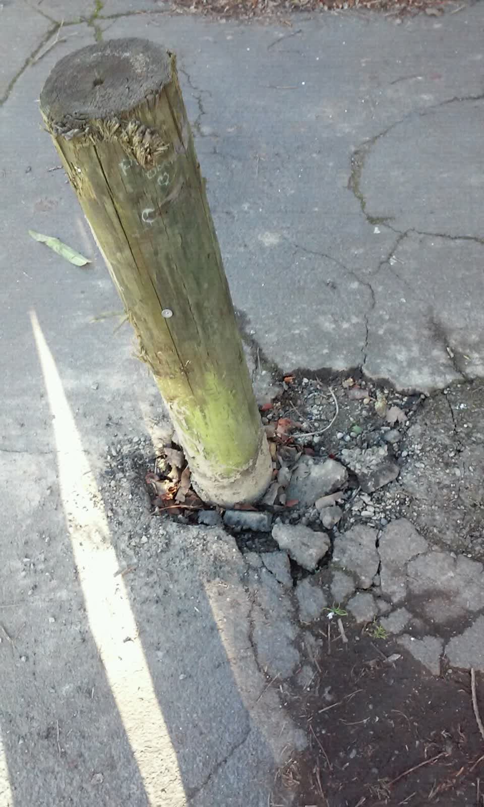 The photograph attached to this roading/streets report