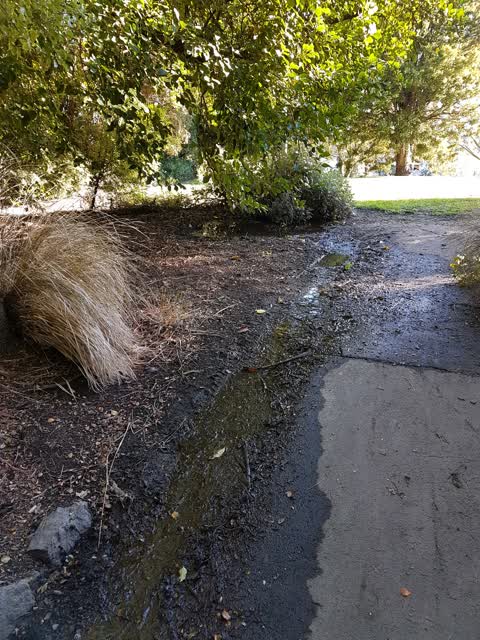 Water Supply — a report photo
